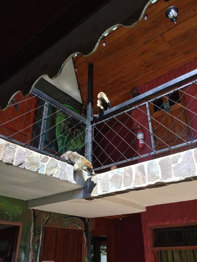 Manakin Lodge, Monteverde Cr Exterior foto